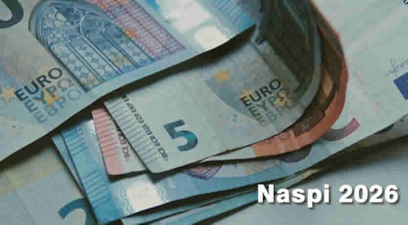 Disoccupazione Naspi 2026 - come funziona