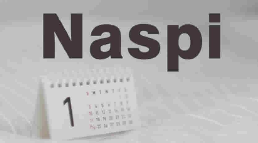 Naspi 2026 visibilità Gennaio 2026