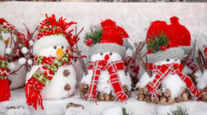 trattamento integrativo dicembre 2025 su Naspi