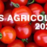 Domanda disoccupazione agricola 2026 inps requisiti e scadenza