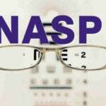 visibilit&agrave; data elaborazione Naspi a Febbraio 2026