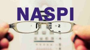 visibilit&agrave; data elaborazione Naspi a Febbraio 2026