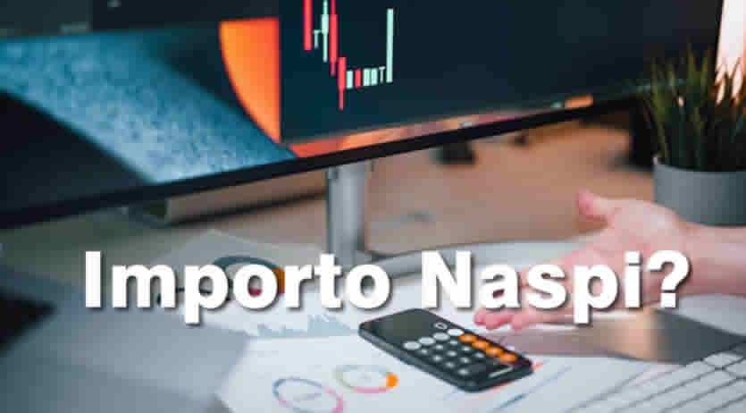 Naspi importo basso a Marzo 2026