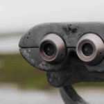 da quando si può vedere Naspi a Marzo 2026