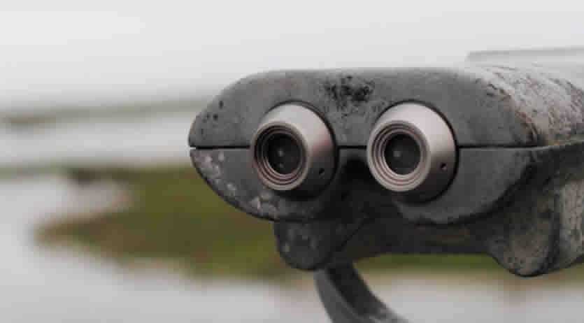 da quando si può vedere Naspi a Marzo 2026