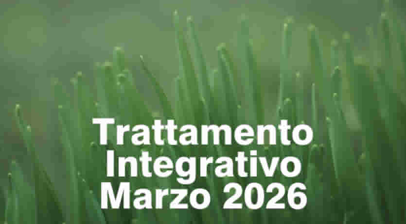 Calendario Pagamento Trattamento Integrativo Marzo 2026