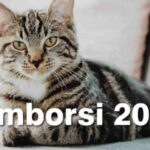 Rimborso 2026 Animali domestici - quanto e come