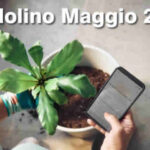 NoiPa Cedolino Maggio 2026 - ecco cosa c'&egrave; da sapere