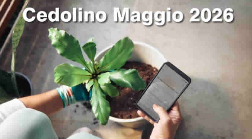 NoiPa Cedolino Maggio 2026 - ecco cosa c'&egrave; da sapere