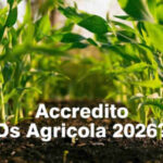 Pagamenti DS Agricola 2026 - come e da quando
