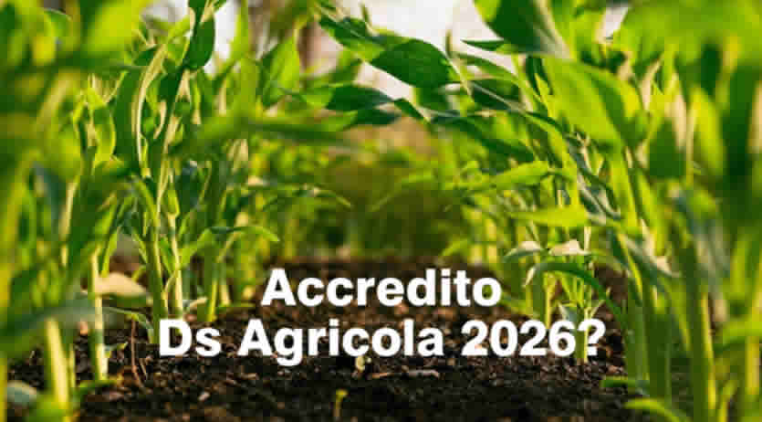 Pagamenti DS Agricola 2026 - come e da quando