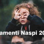come vedere pagamenti Naspi 2026