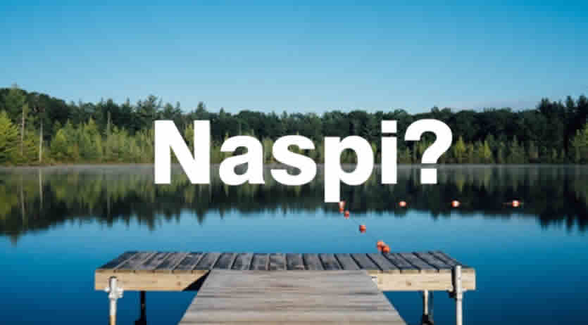 Naspi quando si vedr&agrave; pagamento Giugno 2026