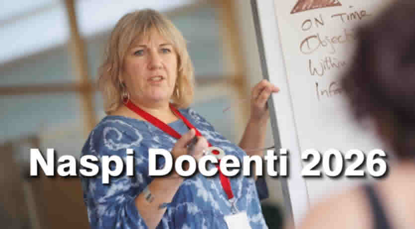 Naspi professori e insegnanti Scuola 2026