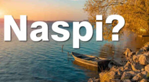 Visibilit&agrave; Disoccupazione Naspi Inps Settembre 2026