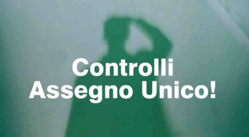 INPS controlla DSU e ISEE Assegno Unico