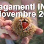 INPS - i pagamenti di Novembre 2026