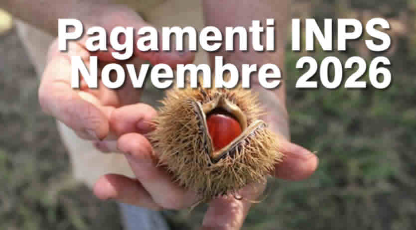 INPS - i pagamenti di Novembre 2026