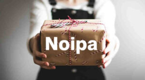Noipa Tredicesima al calcolo 2026