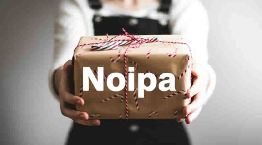Noipa Tredicesima al calcolo 2026