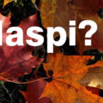 visibilit&agrave; data elaborazione Naspi a Novembre 2026