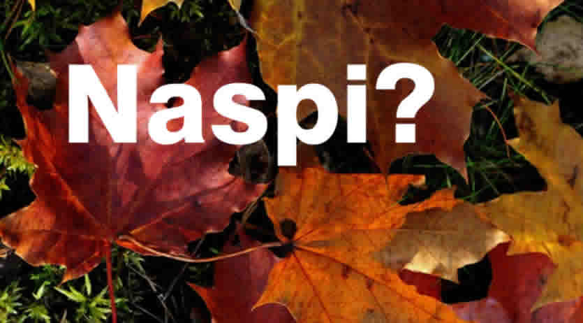 visibilit&agrave; data elaborazione Naspi a Novembre 2026